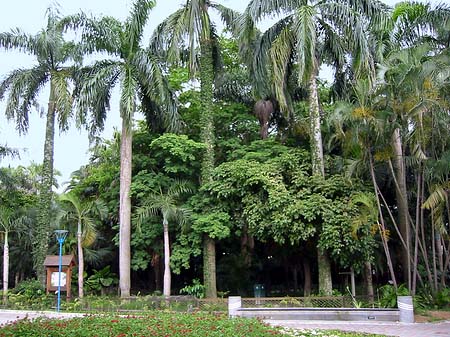 Foto Botanischer Garten